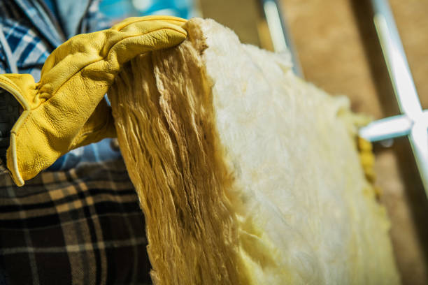 Best Insulation Installation Cost  in Woodland, CA
