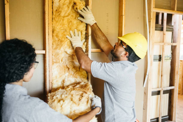 Best Crawl Space Insulation  in Woodland, CA